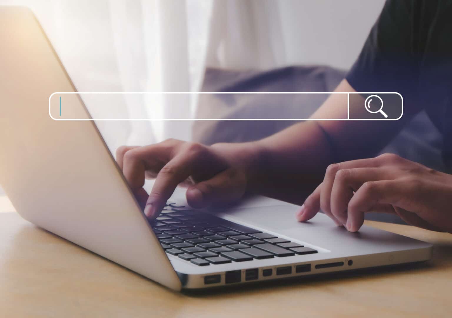 Domaininhaber ermitteln